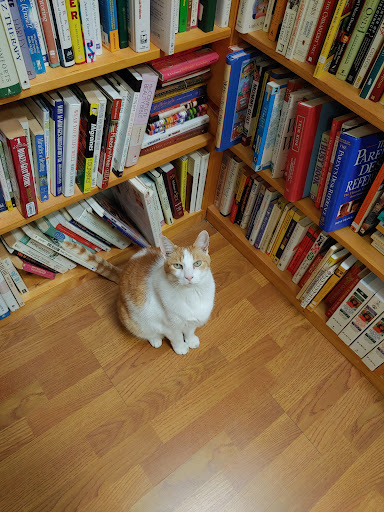 Used Book Store «A Novel Idea», reviews and photos, 2019 E Silver Springs Blvd, Ocala, FL 34470, USA