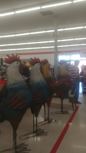 Home Improvement Store «Tractor Supply Co.», reviews and photos, 230 W Park, Lawrenceburg, KY 40342, USA