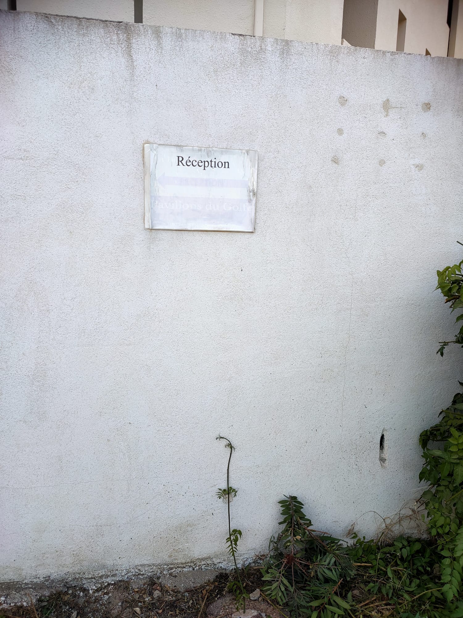 Photo n° 2 de l'avis de Julien.E fait le 24/07/2023 à 17:28