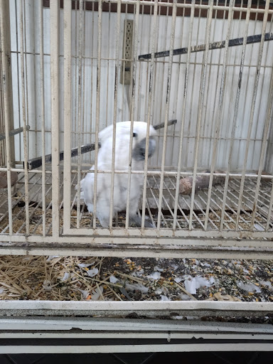 Car Wash «Pacific Car Wash Corporation», reviews and photos, 41080 Trimboli Way, Fremont, CA 94538, USA