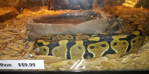 Pet Supply Store «Pet Finatics», reviews and photos, 3150 Navarre Ave, Oregon, OH 43616, USA