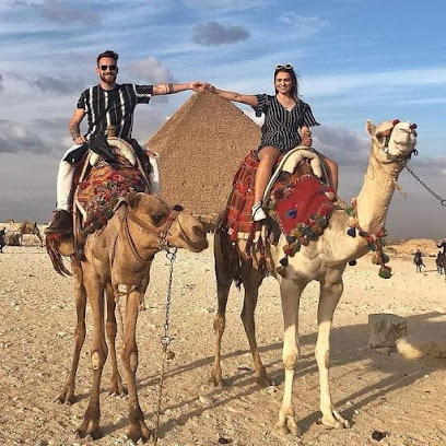 trip to pharaoh
