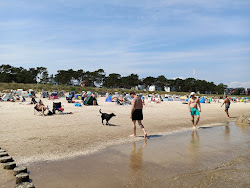 Bansin Strand'in fotoğrafı - rahatlamayı sevenler arasında popüler bir yer