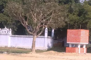 Cemetery Of Chhateri image