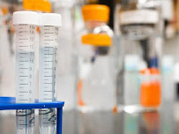 Any Lab Test Now - Photo 5 - Car repair in Lake Charles, LA, Lake Charles