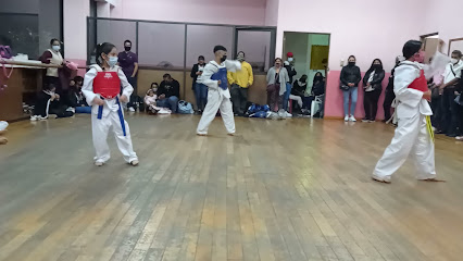 Escuela de taekwondo flores