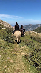 Photo n°17 de Chalet du Val d'Ese - Casìnu di u Valli d'Esi à Bastelica ()