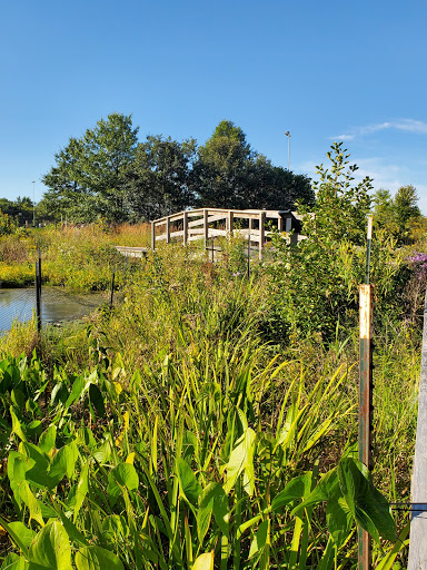 Park «Springfield Park», reviews and photos, 269 Springfield Dr, Bloomingdale, IL 60108, USA