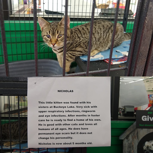 Pet Supply Store «Pet Supplies Plus», reviews and photos, 1380 W Lane Ave, Upper Arlington, OH 43221, USA