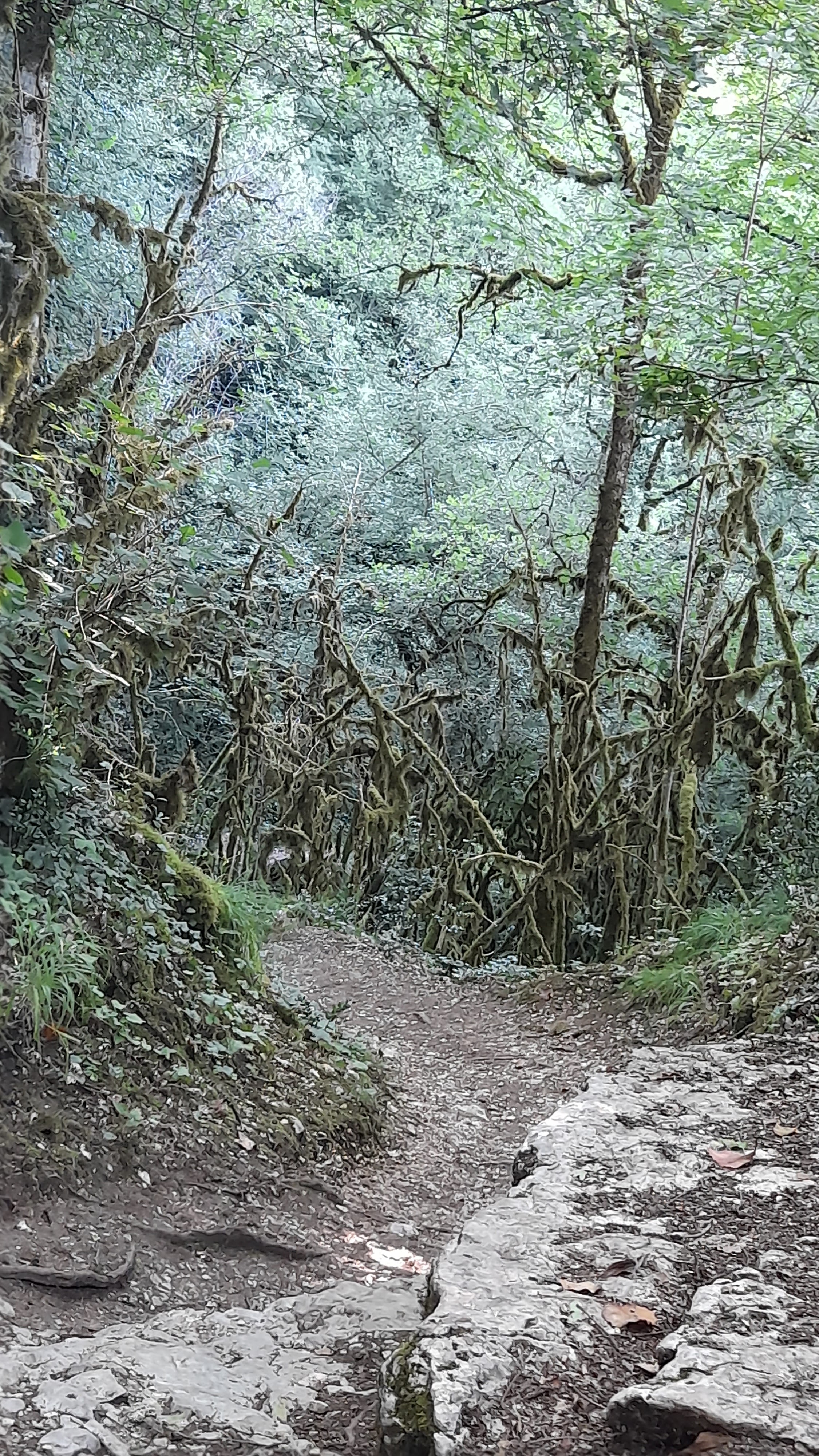Photo n° 2 de l'avis de veronique.e fait le 01/07/2023 à 13:04