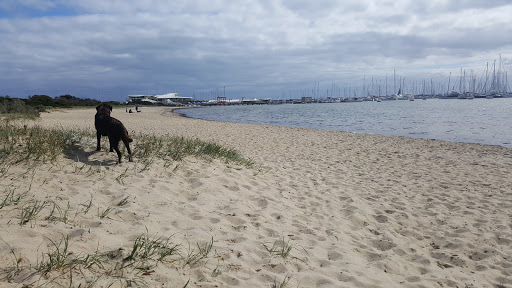 Dog Friendly Beach Sandringham Harbour