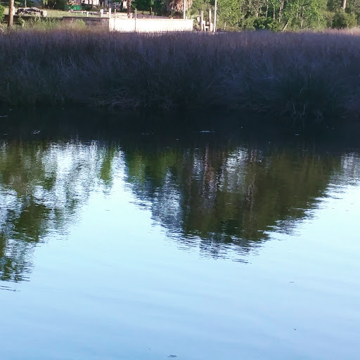 Park «Deerhaven Park», reviews and photos, 2812 Co Rd 2321, Panama City, FL 32409, USA