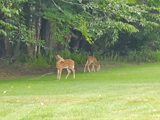 Golf Club «Swan Lake Golf & Country Club», reviews and photos, 38 Eagle Dr, Swan Lake, NY 12783, USA