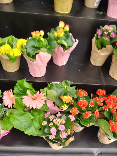 Shopping Mall «Bond Shopping Center», reviews and photos, 1891 S State Rd, Upper Darby, PA 19082, USA