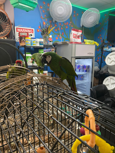 Pet Store «La Jungla Pet Shop», reviews and photos, 1865 W Flagler St, Miami, FL 33135, USA