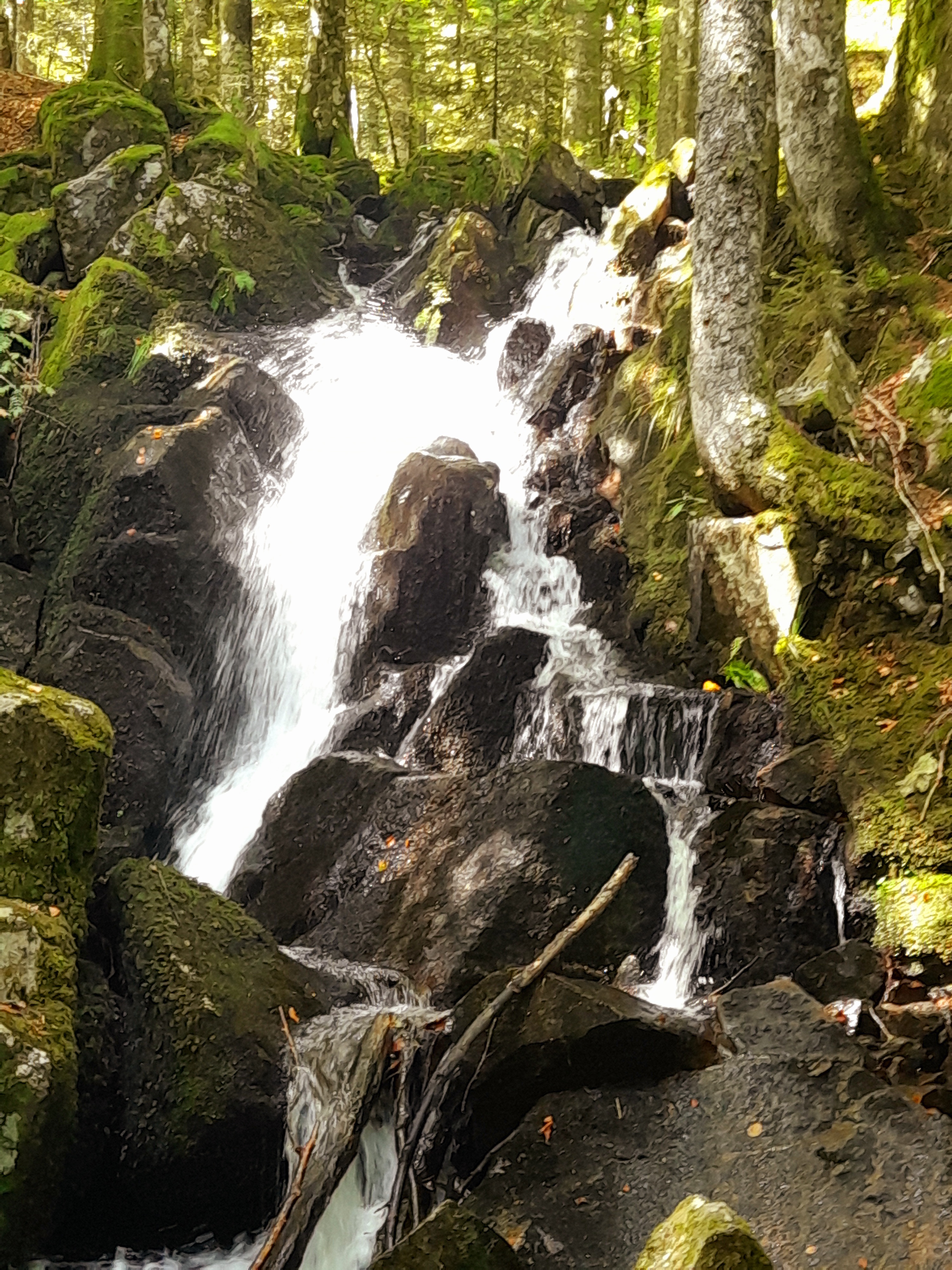 Photo n° 27 de l'avis de Graziella.i fait le 17/08/2023 à 19:20