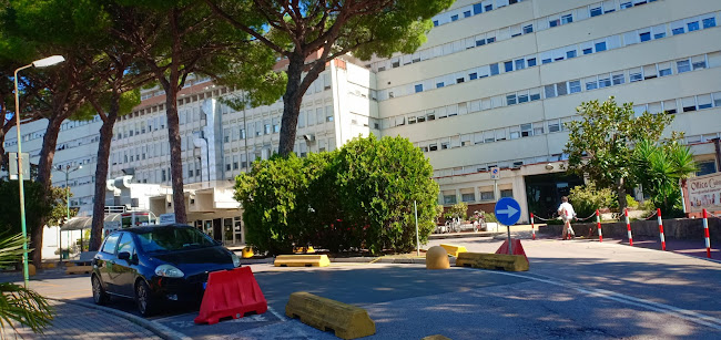 Recensioni di Ospedale della Misericordia Grosseto riabilitazione funzionale a Grosseto - Ospedale