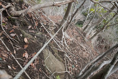 石射太郎山石切場フナ池
