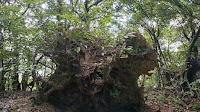 帽子岳