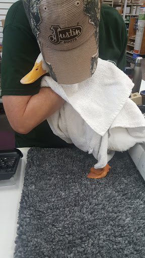 Pet Supply Store «Concord Feed Pet & Livestock Supplies», reviews and photos, 228 Hookston Rd, Pleasant Hill, CA 94523, USA