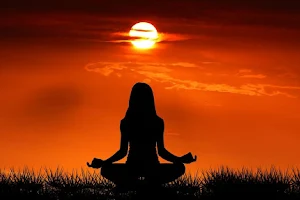 Divya Meditation Wellness Institute-Best yoga academy image