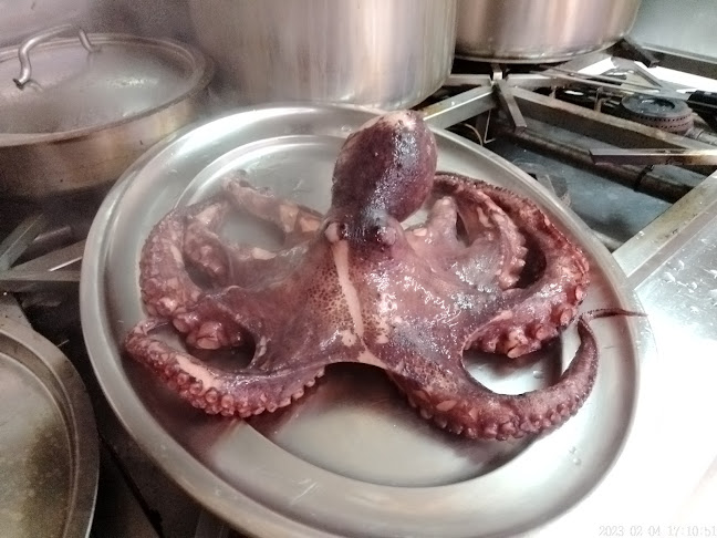 Comentários e avaliações sobre o Restaurante Canastra A Grelha