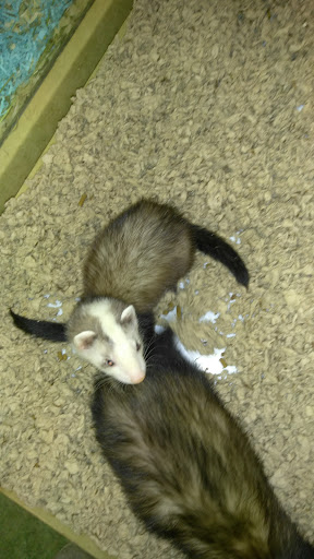 Pet Supply Store «Pet Supermarket», reviews and photos, 6307 N 9th Ave #1, Pensacola, FL 32504, USA