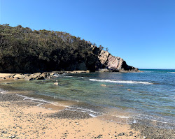 Guerilla Small Beach'in fotoğrafı vahşi alan