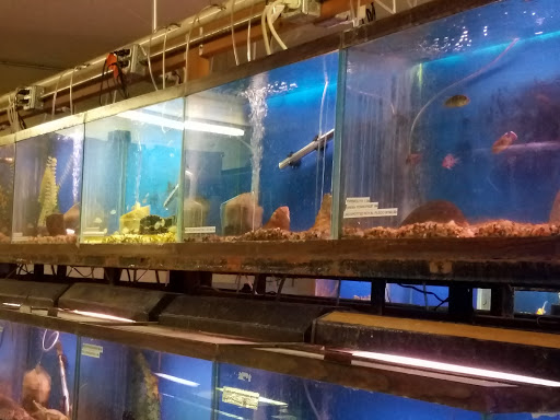 Tropical Fish Store «Midway Tropical Fish & Pets», reviews and photos, 24101 Pacific Hwy S, Kent, WA 98032, USA