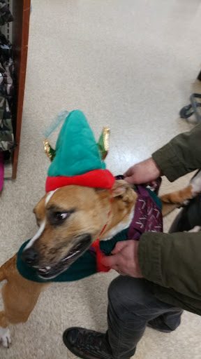 Pet Supply Store «PetSmart», reviews and photos, 3335 Cobb Pkwy NW #400, Acworth, GA 30101, USA