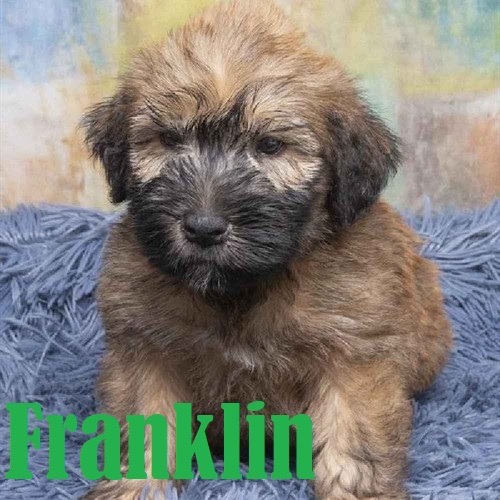 Pet Store «Pet Express», reviews and photos, 100 Independence Way, Danvers, MA 01923, USA