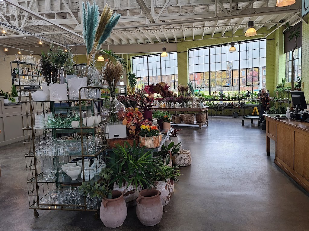 Bowood by Niche 63108