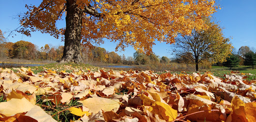 Golf Course «Elbel Golf Course», reviews and photos, 26595 Auten Rd, South Bend, IN 46628, USA