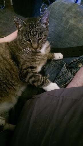 Jamestown Veterinary Hospital image