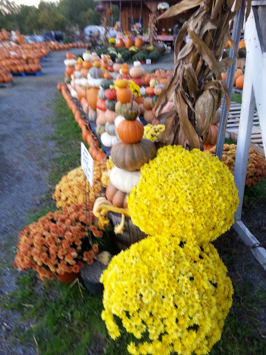 Produce Market «The Bigsby Market», reviews and photos, 1418 Dryden Rd, Freeville, NY 13068, USA