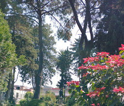 Hotel Centro Cultural Quinta Soledad photo