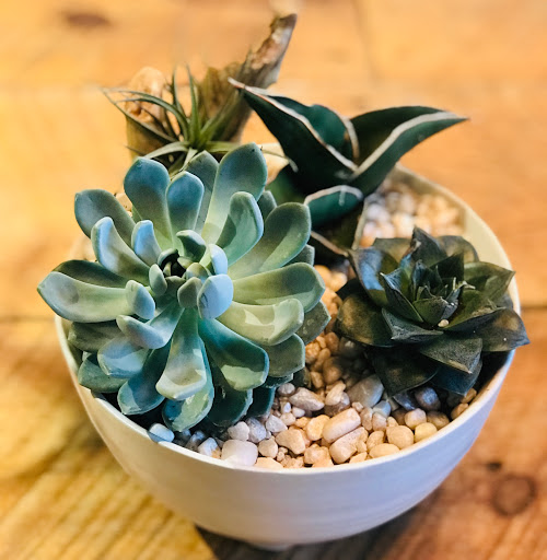 Flower Designer «Bloom Couture Floral Studio», reviews and photos, 769 Tremont St, Boston, MA 02118, USA