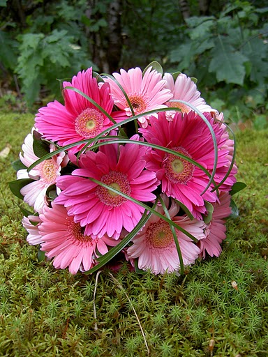 Florist «Roaring Oaks Florist», reviews and photos, 349A Main St, Lakeville, CT 06039, USA