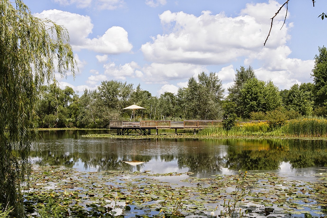 Hobson West Ponds