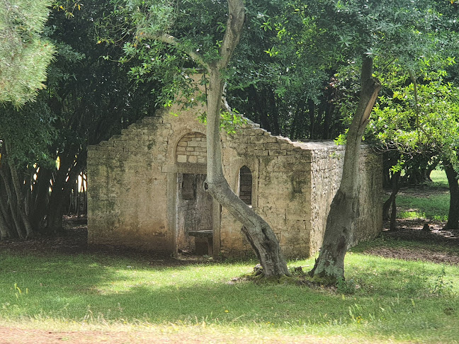 Crkva sv. Antun