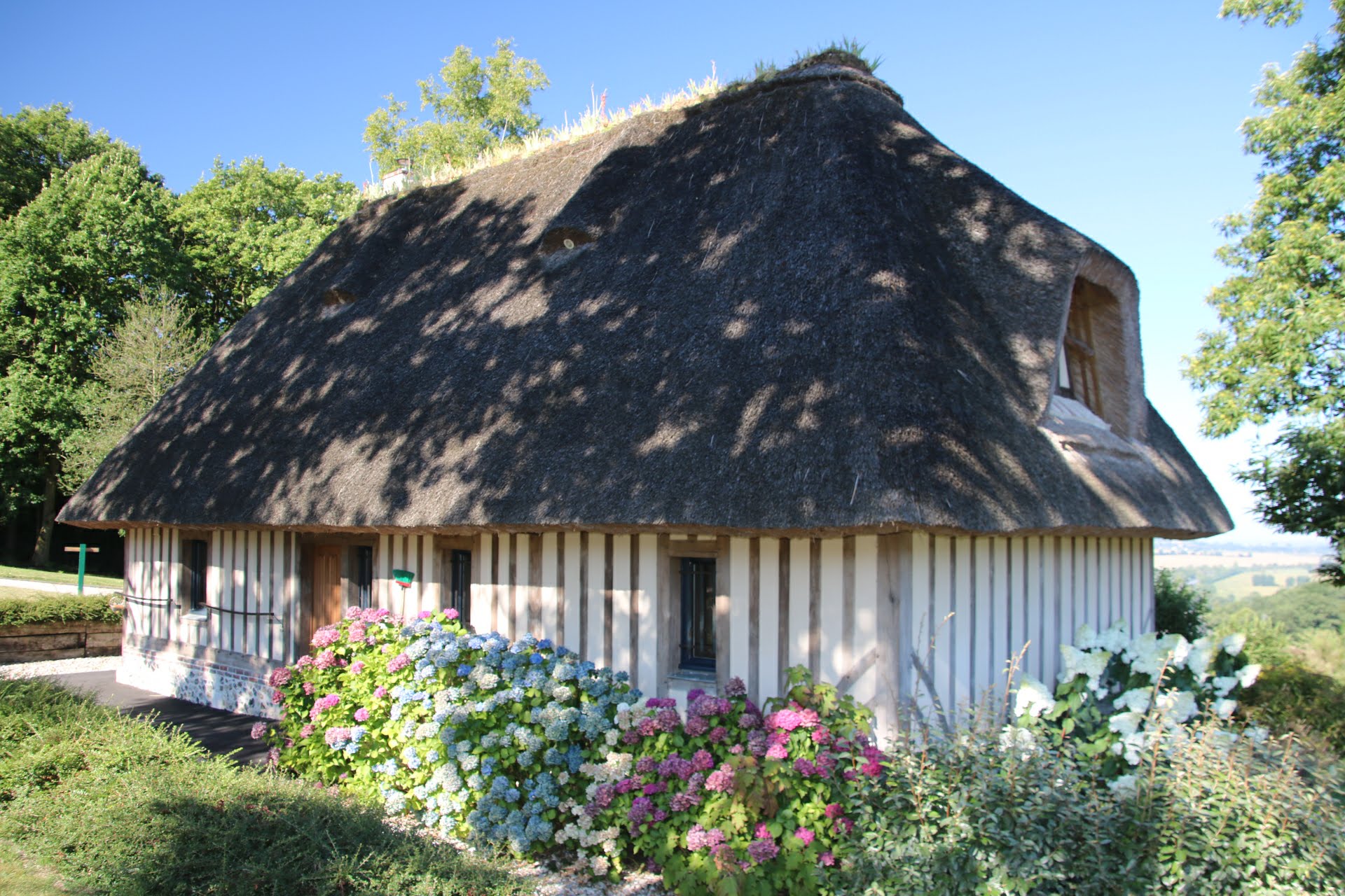 Photo n° 1 de l'avis de Rich. fait le 21/08/2018 à 18:53