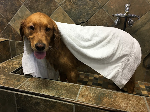 Pet Store «Pet Valu», reviews and photos, 15 Schalks Crossing Rd, Plainsboro Township, NJ 08536, USA