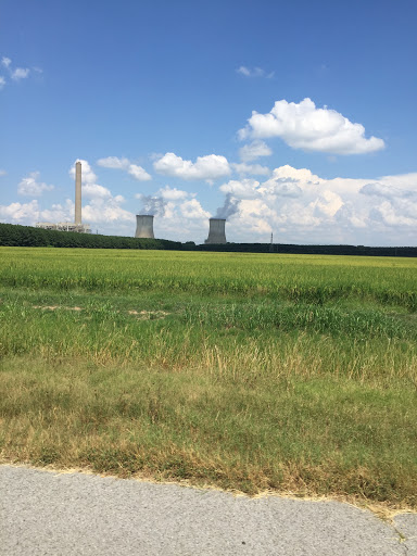 Zoo «Memphis Zoo», reviews and photos, 2000 Prentiss Pl, Memphis, TN 38112, USA