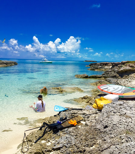 Sporting Goods Store «Adventure Sports», reviews and photos, 2750 SW 26th Ave, Miami, FL 33133, USA