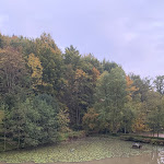 Photo n°14 de l'avis de Andreas.o fait le 13/10/2022 à 18:04 sur le  Muckensee Café, Restaurant, Hotel à Lorch