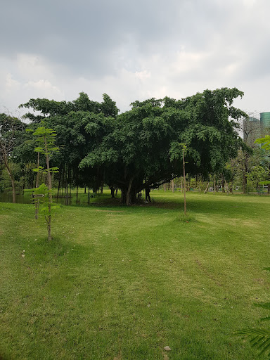 Rot Fai Park