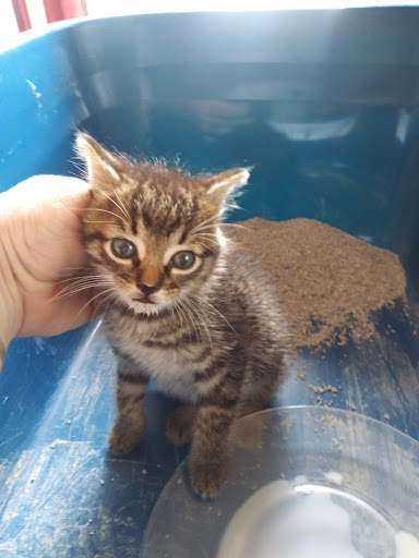 Pet Supply Store «Pet Supplies Plus», reviews and photos, 30450 Lakeshore Blvd, Willowick, OH 44095, USA