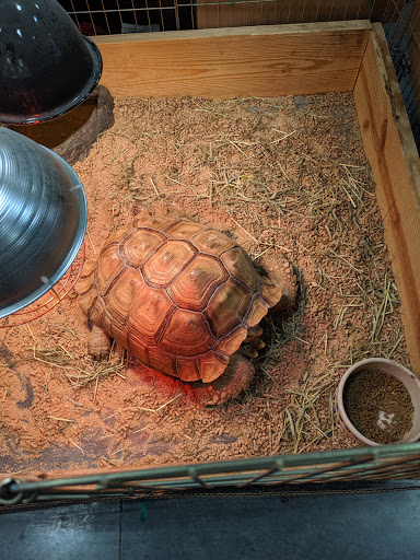 Pet Groomer «We Lov Pets», reviews and photos, 3853 Northpointe Dr, Zanesville, OH 43701, USA