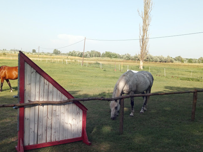 Értékelések erről a helyről: Platános Kúria Equestrian Mansion, Balástya - Szálloda