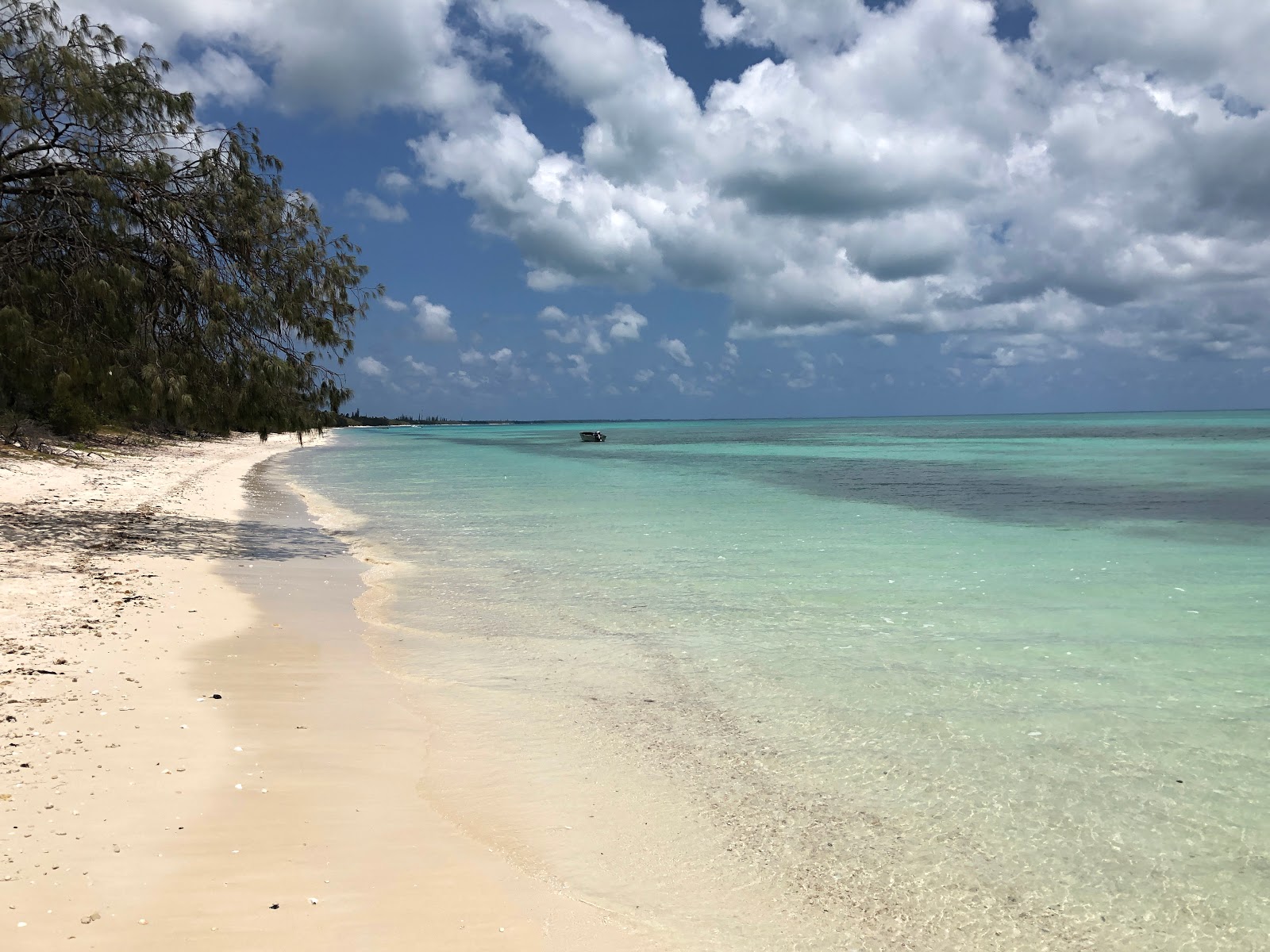 Foto di Ouvea Island Beach con una superficie del sabbia pura bianca